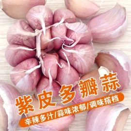 蒜;其他滋补;洋葱