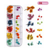 Set for manicure, hydrolate, nail stickers, Japanese fake nails, nail decoration, 12 colors, new collection