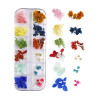 Set for manicure, hydrolate, nail stickers, Japanese fake nails, nail decoration, 12 colors, new collection