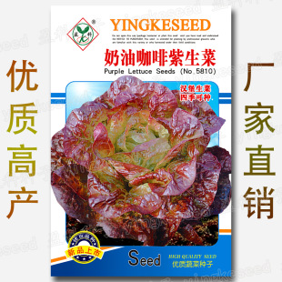 ���~���˷N�� �r��˵��S�a�߲�ԭ�S���b�������������ͳ�̦ ����