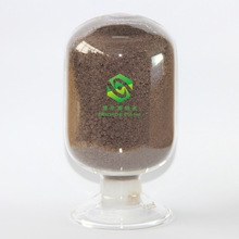 ΢��̼���g�� �{��̼���g �߼�����̼���g�w�� TaC