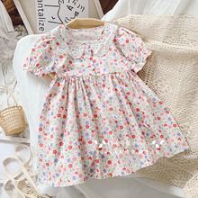 2020ļͯbŮͯBȹСͯȹn黨Lȹ