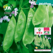 �ⶹ�N�ӾGü���N������ͥԺ�����׷N�����＾�߲˷N�ݲ��ѷN����