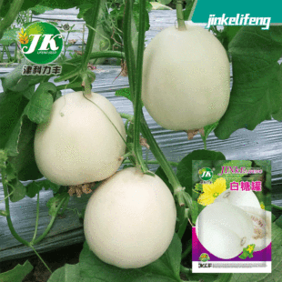 �S�����l���ǹ���ϷN����ϷN�Ѱ�ɫˮ���N�ݴ�����ɳ�۹Ϲ��ѷN