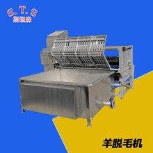 HƤalÓëC ͬrֻ̎ ԄëC