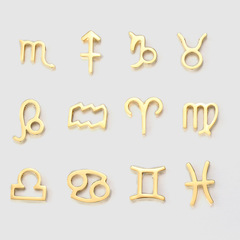 eManco twelve constellations series stainless steel necklace accessories cross-border DIY pendant pendant jewelry accessories wholesale