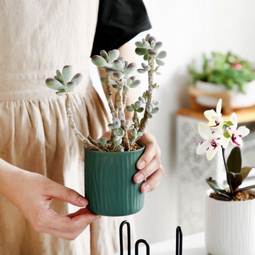 Simple creative ins iron ceramic succulent flowerpot Nordic plant potted flower basin desktop small diameter flower pot