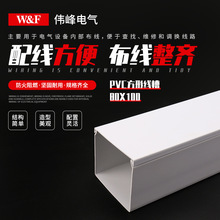 厂家供应80x100PVC方形行线槽白色行线槽明装绝缘线槽阻燃走线槽