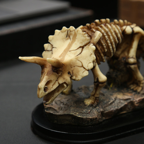 Creative skull bone decorations dinosaur skeleton model ornaments laboratory bar cafe props small furnishings