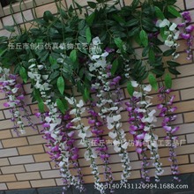 ����ˇ�������ٻ����L���}��ֲ�ﻨ�ڒ��b�3�^�S�Ұ�ɫ�b���