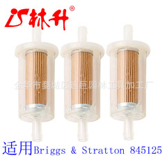 695666 Filter Briggs & Stratton 845125 691035 5065 493629 MTD