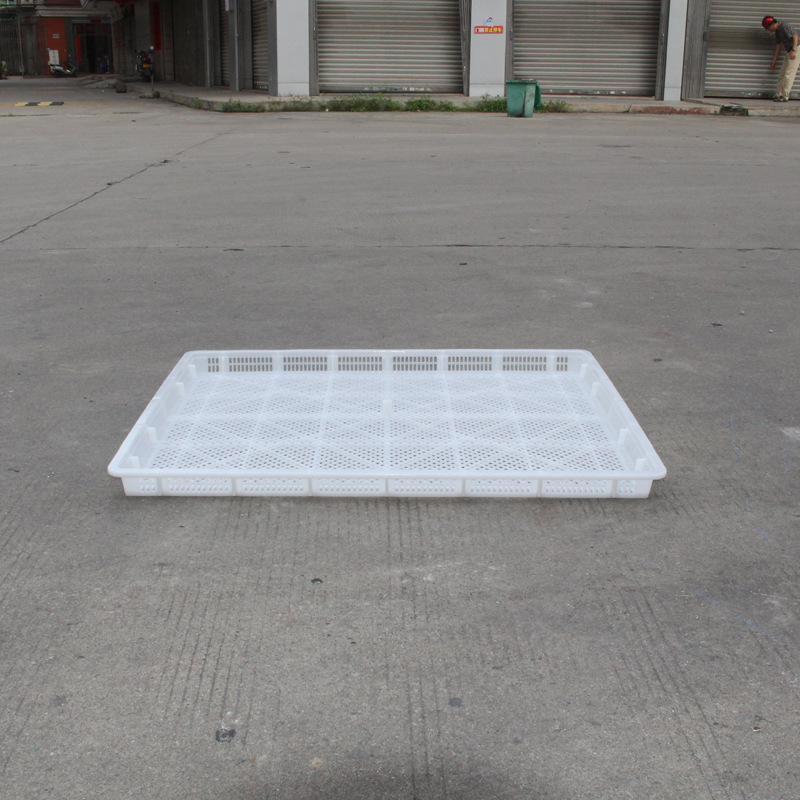 汕头潮州 直供塑料单冻器 冻库干燥脱水塑料盘 食品水产冷冻胶盘