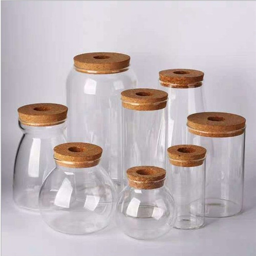 Aquatic plant eco-bottle, water-plant pot, glass vase for money plant and lucky bamboo, miniature landscape glass vase