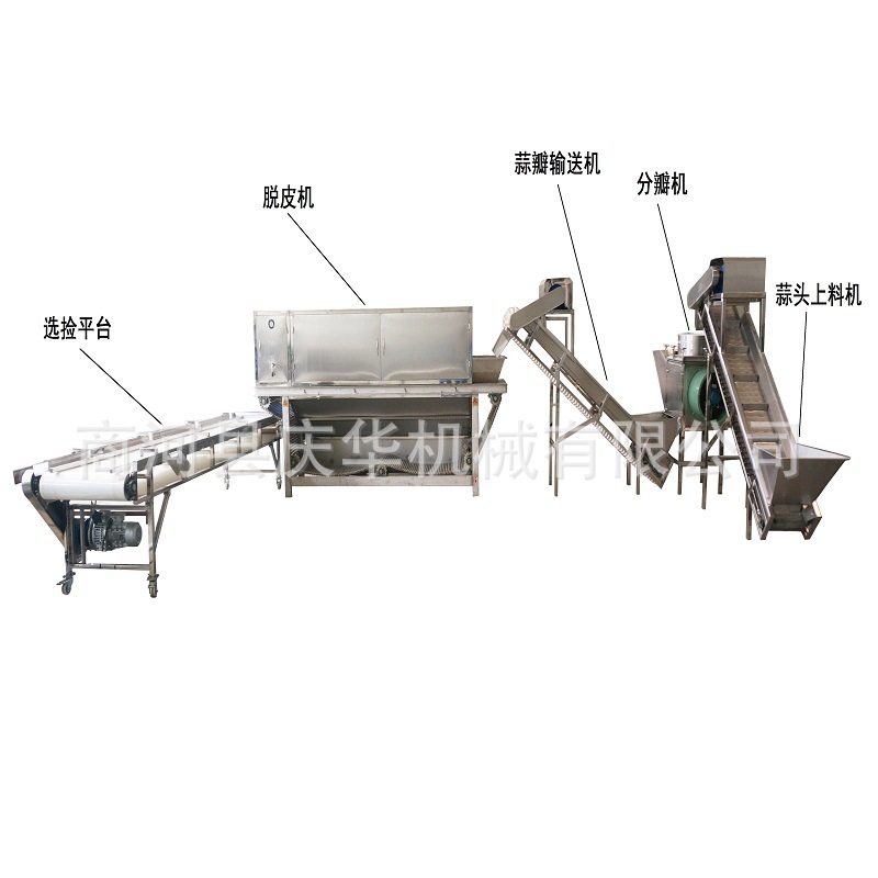 厂家供应链式大蒜分瓣机脱皮机  庆华大蒜剥瓣机剥皮机   剥脱机