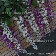 ����ˇ�������ٻ����L���}��ֲ�ﻨ�ڒ��b�3�^�S�Ұ�ɫ�b���