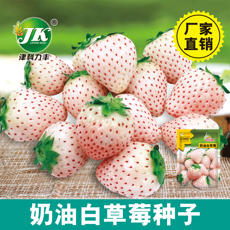 white cream strawberry all-season