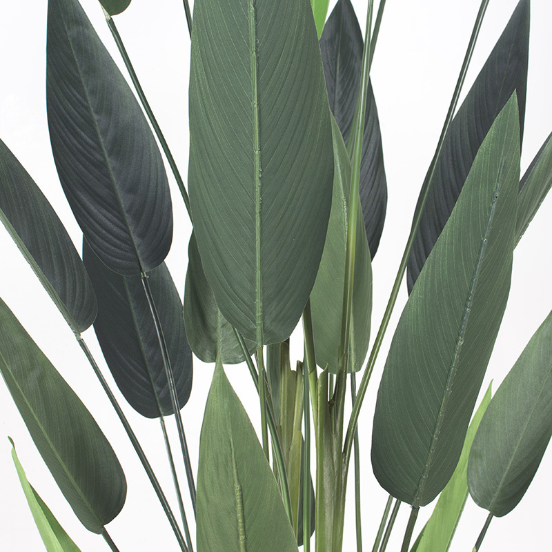 Simulación pájaro del paraíso skybird agua belleza falsa planta verde canna árbol en maceta sala de estar nórdica viajero árbol de plátano