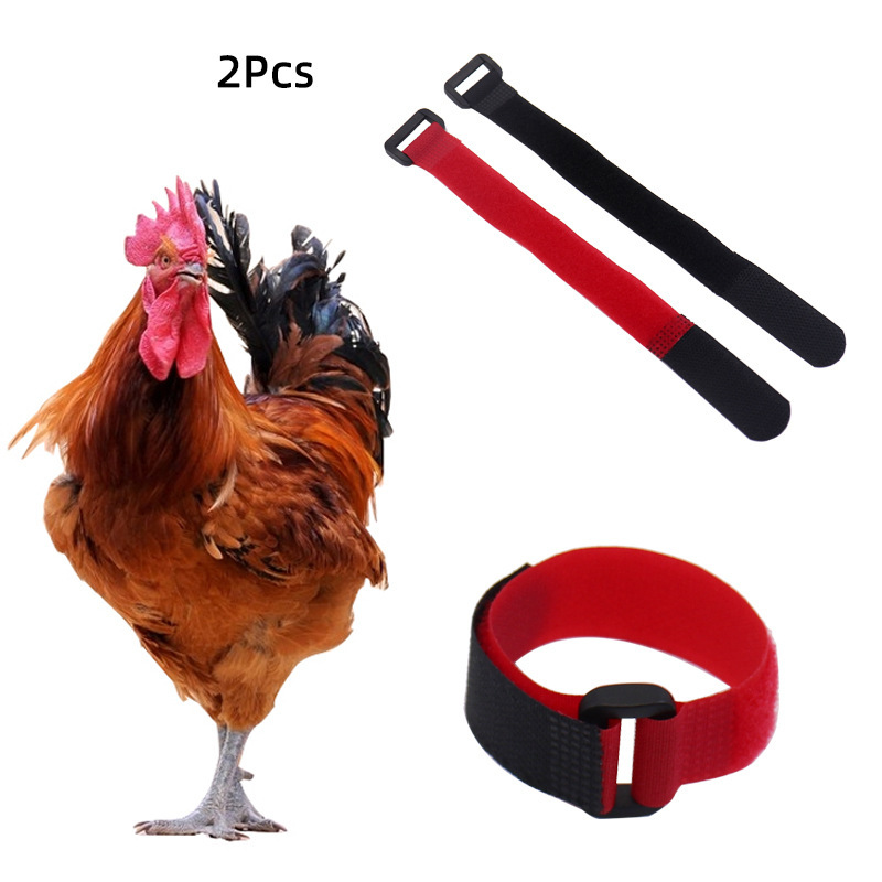 Foreign Trade Pet Supplies Anti-Crowing Collar for Chickens, Ducks, Geese, and Roosters, Noise-Reducing Neck Strap, 2-Piece Set, New Upgraded Model