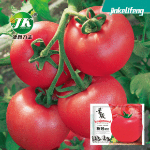 ���l�۹�802���ѷN�Ѵ���ۼtɫ���t���N��ɳȿ�����߲˷N�ݲ���