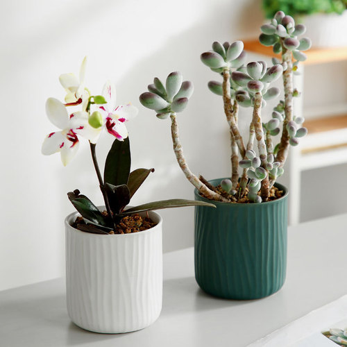 Simple creative ins iron ceramic succulent flowerpot Nordic plant potted flower basin desktop small diameter flower pot