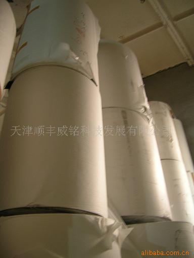 牛皮单塑硅油纸 70G单塑纸 120克单塑纸 宽度齐全 可分切