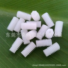 东莞市秦硕供应塑料蜗杆  单头POM塑胶蜗杆 猪肠牙