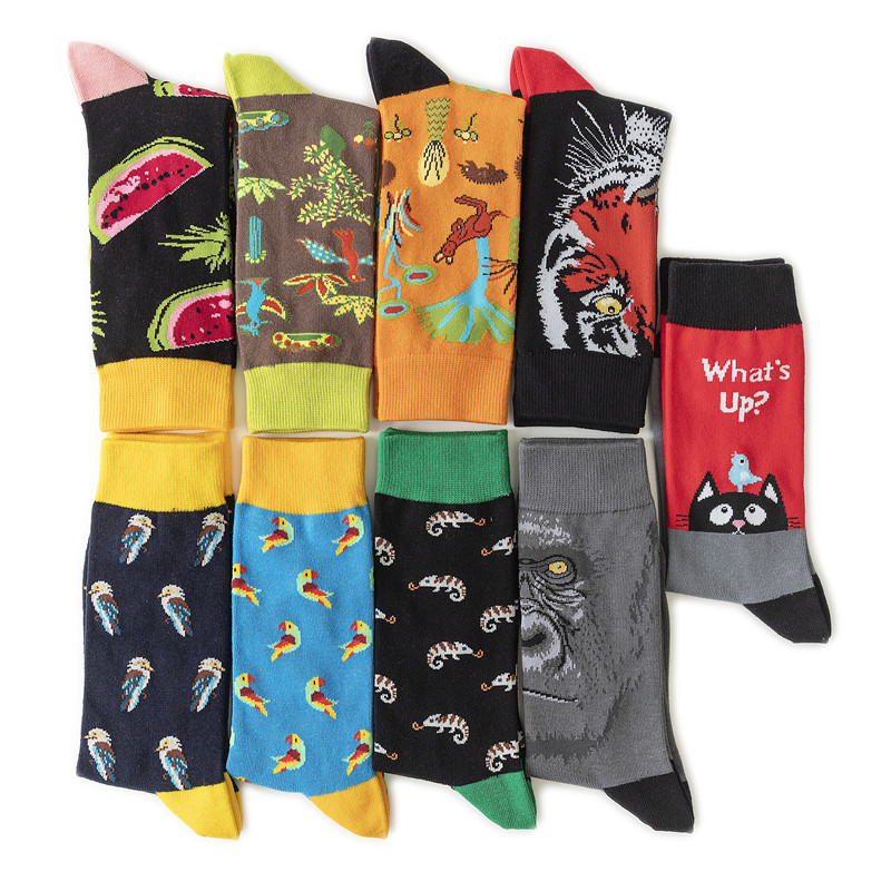 2025d Men's Women's Trendy Cotton Fruit Pattern Ins Style Animal Mid-Calf Socks_voghion.com
