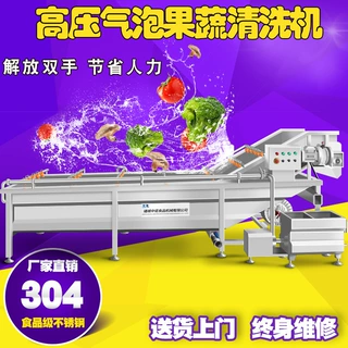 大批量叶子清洗设备 鼓泡蒲公英清洗机 定制款食叶草清洗流水线
