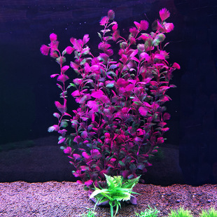 ���~���쾰����ˮ��ˮ�������Ϻ��ݲ�����ܛ��ˮ�ݸ��L�������l