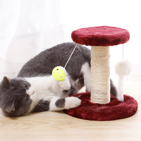 Toy