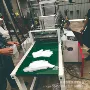 一次性pe膜手套制袋机