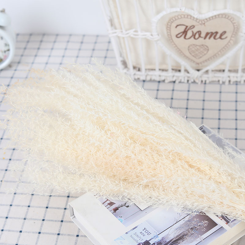 하얀 먼지 10 스틱