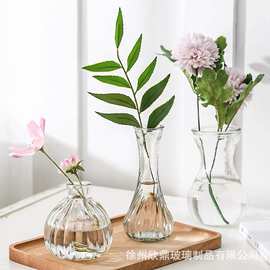 水培创意玻璃花瓶水仙花植物水培容器插花瓶绿萝透明花盆风信子瓶