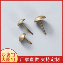 �Ҿ�ɳ�l�̶��Dᔹ�ˇƷ�b�ɳ�l��~ɫ��ᔼ��L�¹Ž�ɫ�A�^�