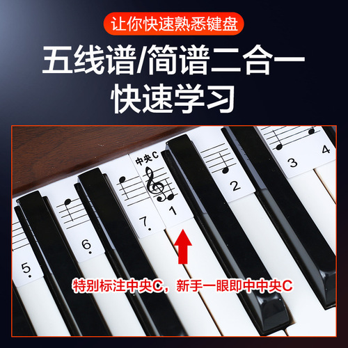 Piano keyboard stickers electronic piano sound stickers 88-key 61-key five-line notation piano key stickers free of sticky note strips