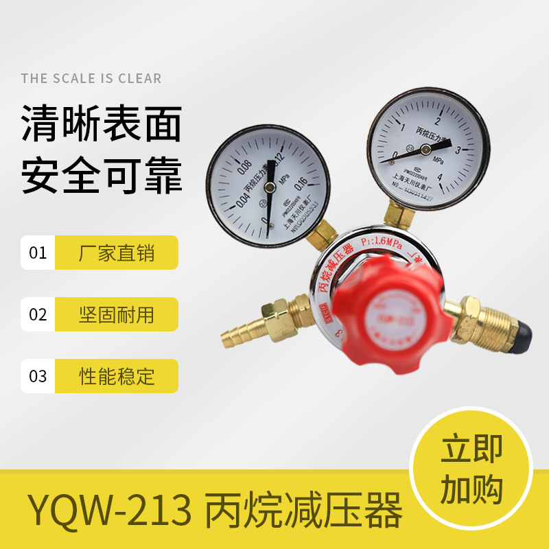 上海减压器 YQW-213 0.16*2.5MPa 天川牌 丙烷减压器  减压阀