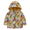 3098-5 color chrysanthemum