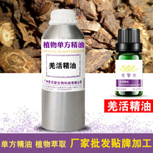 Ǽ���� �η�ֲ���� �B�������o�w��޹ԭ�� �S�����lֱ�N �ӹ�