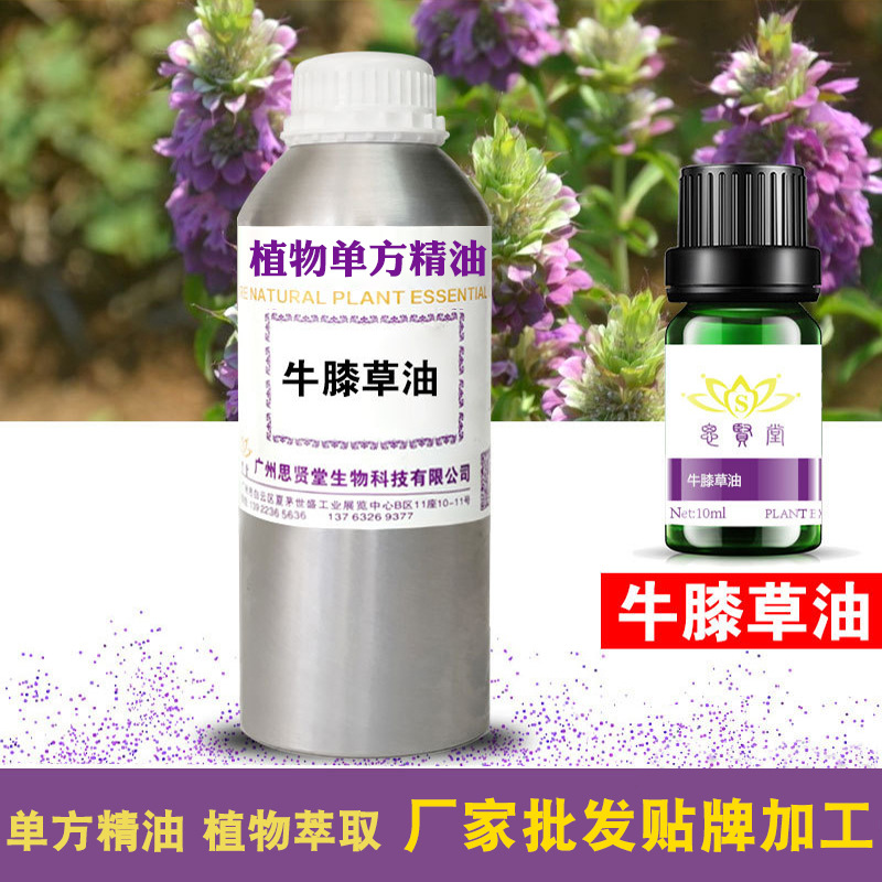 牛膝草精油 牛膝草油 单方植物油 养生原料 厂家批发直销 加工