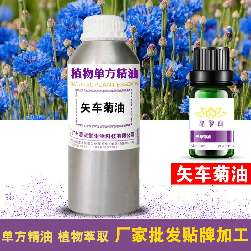 矢车菊精油  矢车菊油 单方 植物油 厂家批发 加工