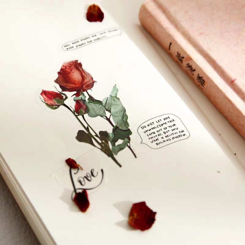 75um PET平张贴纸底膜 手账日记DIY拼贴底膜防粘厂家直供模切加工