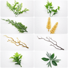 �}�Q�b�Ʒ����ֲ�ﻨ�������辰�Ʒ���b��~�@�־G�������b�