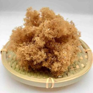 ̨����˸⺣ʯ���ݲ˛�����ë�¾�ë��ݸ�؛�����Ĺ������l