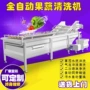 气泡定制叶类农残洗菜机