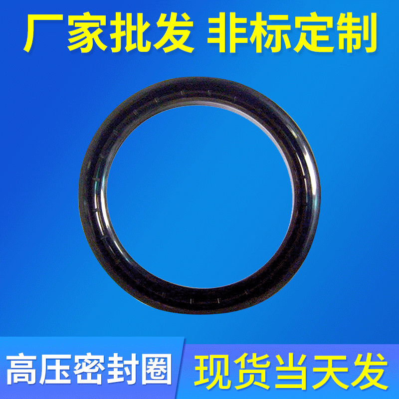 长期批发大型氟胶0型圈  非标准件高压密封圈生产厂家