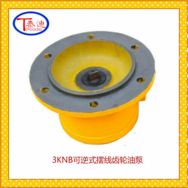 供应3KNB-40A可逆式摆线齿轮油泵 双向润滑泵 微型双向油泵