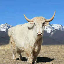 �ך�ţ�Bֳ �ך�ţ�r�� �ך�ţ�Bֳ���� ���ţ�����Xһ�^