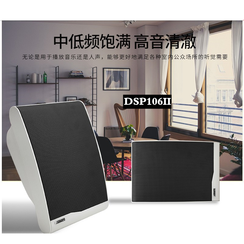 DSPPA 迪士普音箱  DSP106II 音响扬声器 学校广播音箱