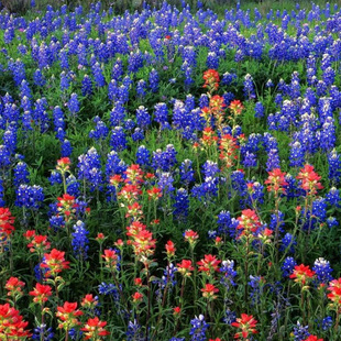 �����ܷN�� �������N�� ���ȶ� �^�pֲ�� �@ˇ���� �׷Nֲ