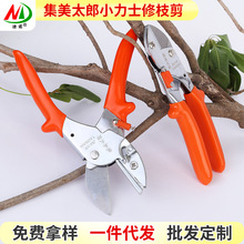 集美太郎V6V8小力士修枝剪园林工具园艺剪省力剪摘果剪粗枝剪批发